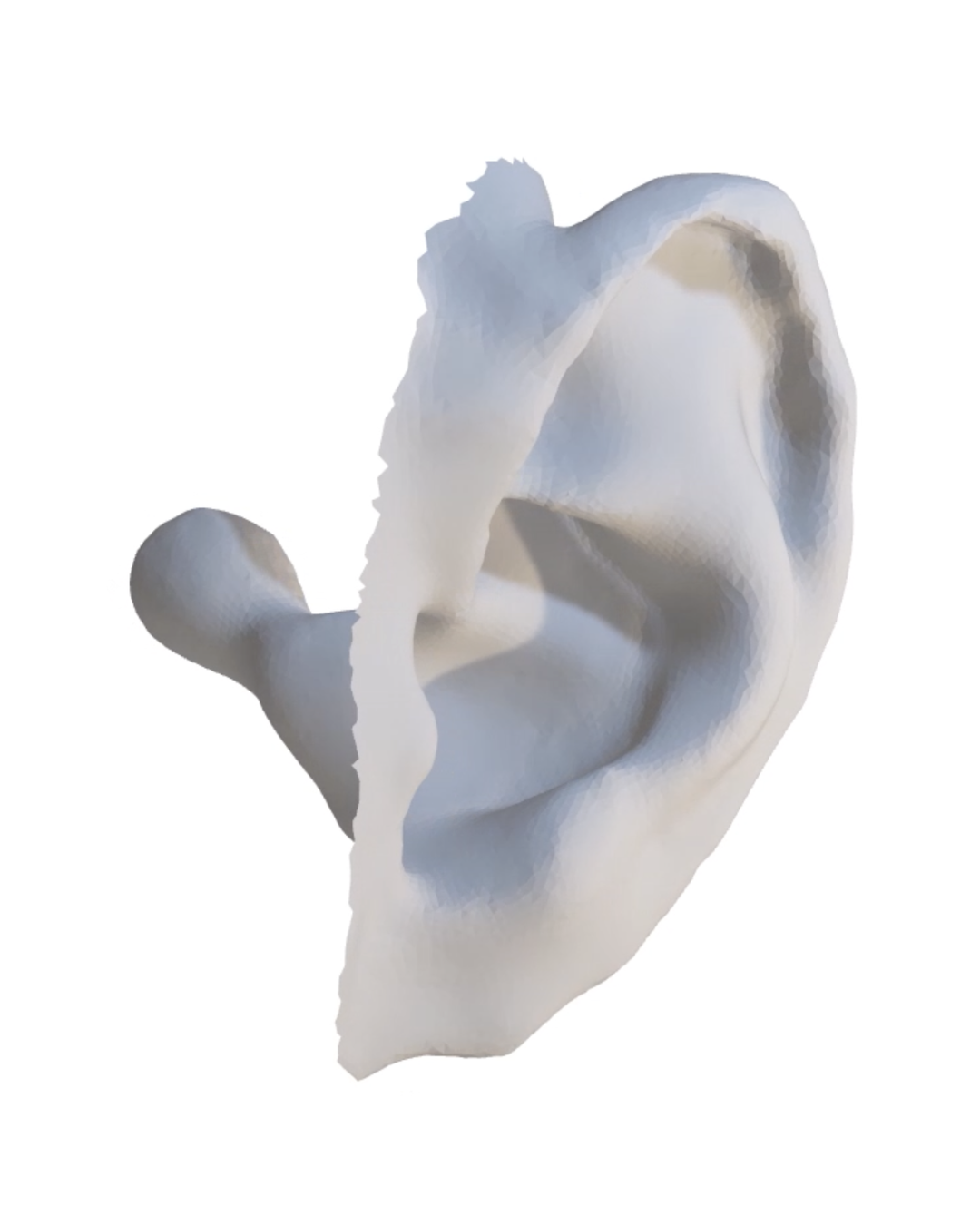 Aware EarDefender Vent Metal Detectable